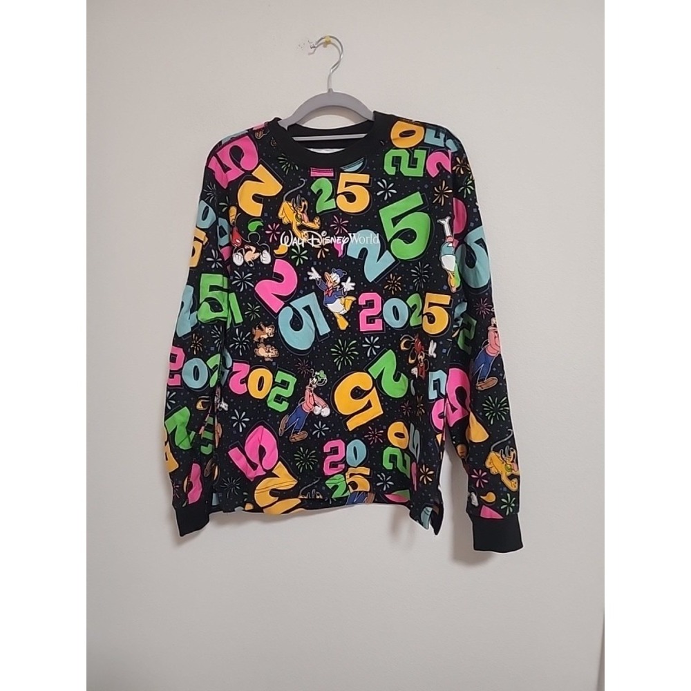 Disney Parks 2025 Pullover Sweater Size XS‎